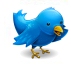 twittbird
