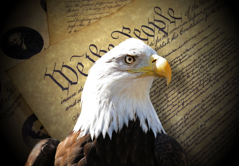 American Constitution & Eagle