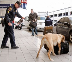 Bomb Dog - Image from http://annoytheleft.wordpress.com/2009/12/27/yes-virginia-there-is-still-a-terrorist-threat/