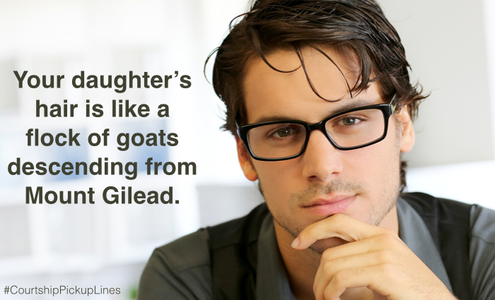  “Your daughter’s hair is like a flock of goats descending from Mount Gilead.”